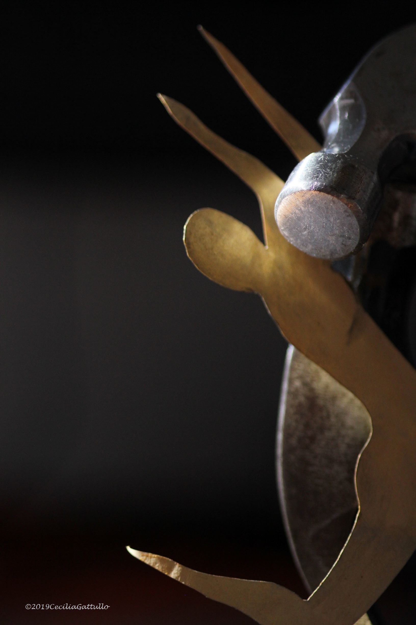 fragile ma non troppo 016